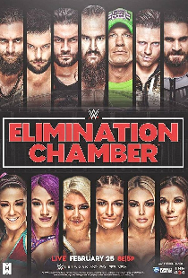 WWE Камера ликвидации
