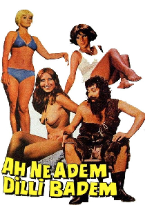 Ah Ne Adem Dilli Badem