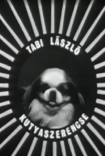 Kutyaszerencse