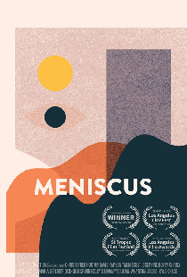 Meniscus
