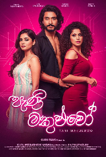 පැණි මකුළුවෝ