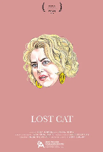 Lost Cat