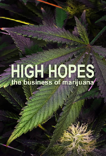 High Hopes: The Business of Marijuana