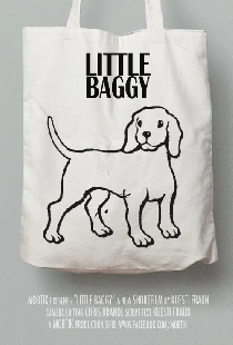 Little Baggy