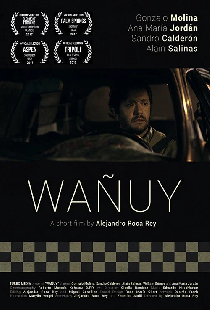 Wañuy