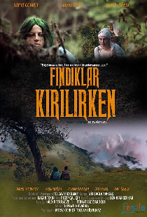 Fındıklar Kırılırken