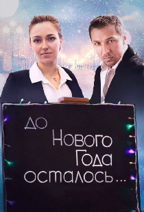 До Нового года осталось…