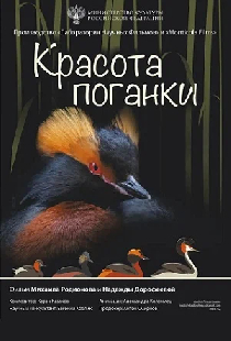 Красота поганки