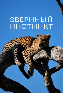 Звериный инстинкт