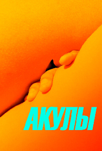 Акулы
