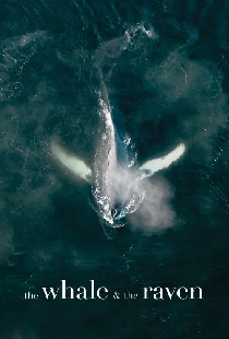 The Whale and the Raven