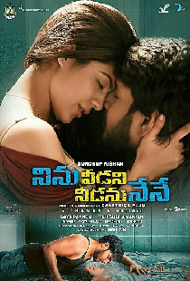 నిను వీడని నీడను నేనే
