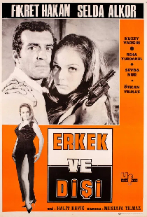 Erkek ve Dişi