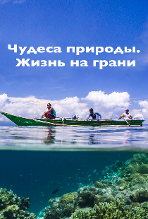 Чудеса природы. Жизнь на грани