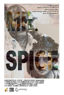 Mr. Spice