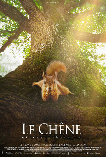 Le chêne