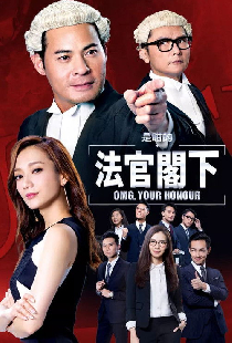是咁的，法官閣下