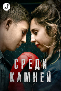 Среди камней