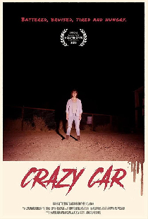 Crazy Car