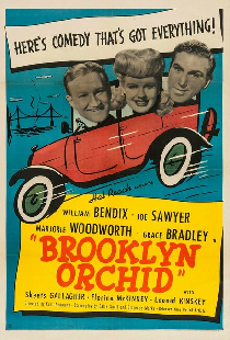 Brooklyn Orchid