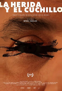 La herida y el cuchillo (Notas para un film sobre García Wehbi)