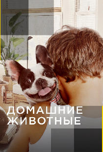 Домашние животные