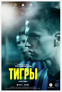 Тигры