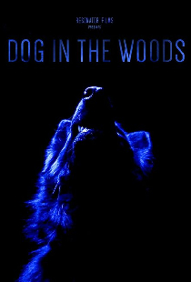 Dog in the Woods