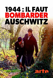 1944: Bomben auf Auschwitz?