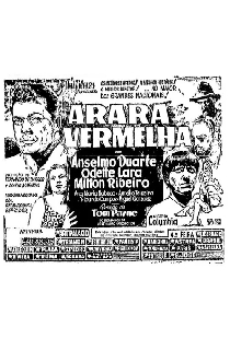 Arara Vermelha