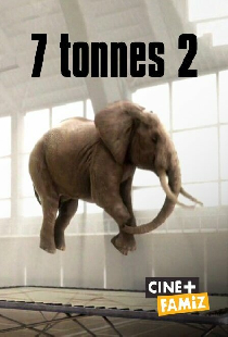 7,2 тонны