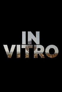 In Vitro