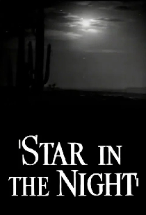 Star in the Night