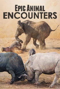 Epic Animal Encounters