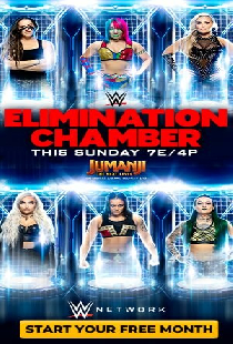 WWE Камера ликвидации