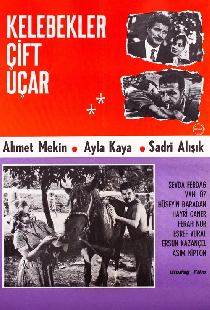 Kelebekler Çift Uçar