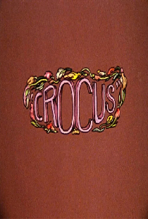 Crocus