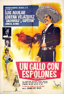 Un Gallo con Espolones