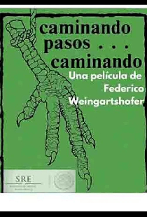 Caminando pasos... caminando