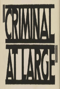 A Criminal at Large
