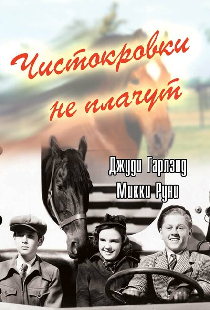 Чистокровки не плачут