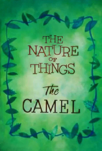 The Nature of Things: The Camel
