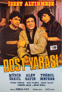 Dost Yarası