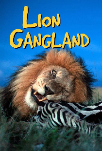 Lion Gangland