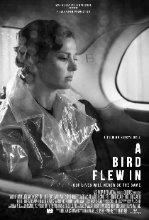 A Bird Flew In