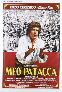 Мео Патакка