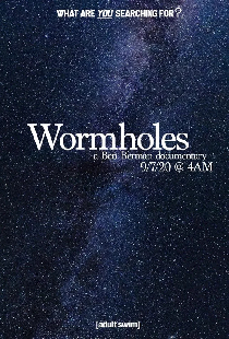 Wormholes