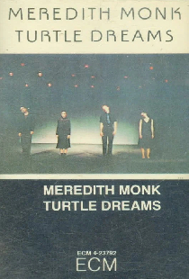 Turtle Dreams