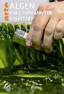 Algen: Ein unbekannter Rohstoff