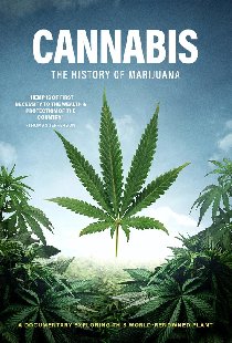 Cannabis